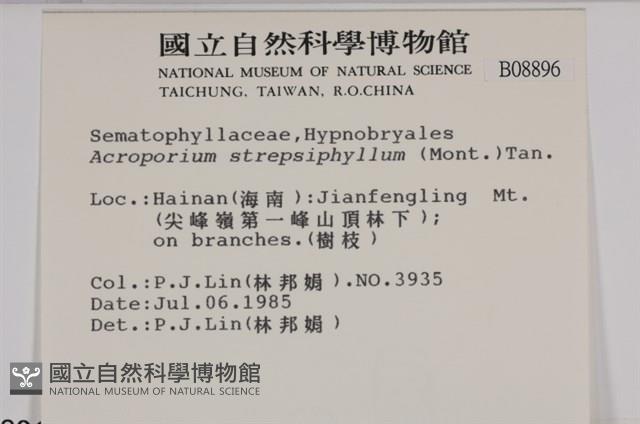 Accession Number:B00008896 Collection Image, Figure 2, Total 2 Figures