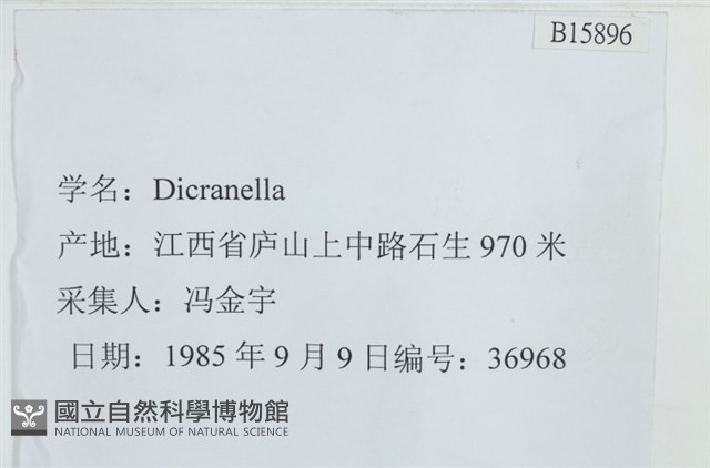 登錄號:B00015896藏品圖，第2張
