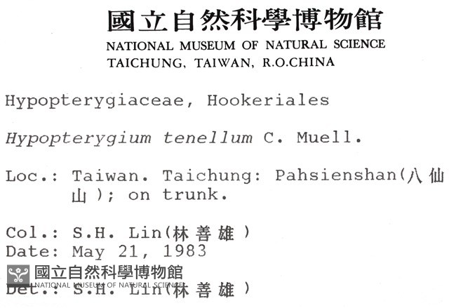 南亞孔雀蘚藏品圖，第2張