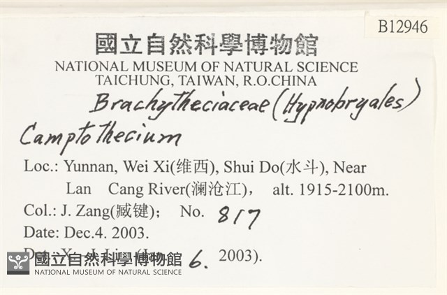 登錄號:B00012946藏品圖，第2張