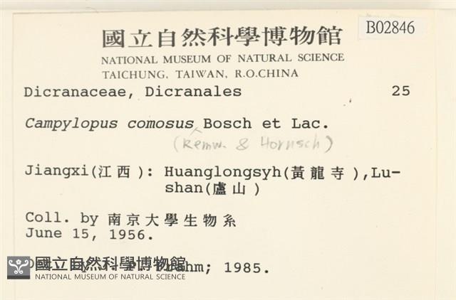 登錄號:B00002846藏品圖，第2張