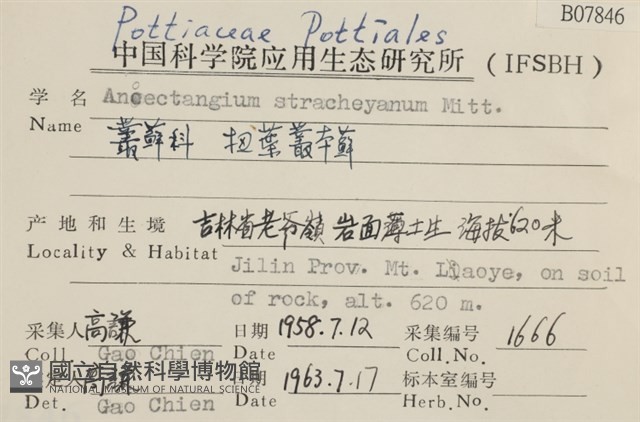 扭葉叢本蘚藏品圖，第2張