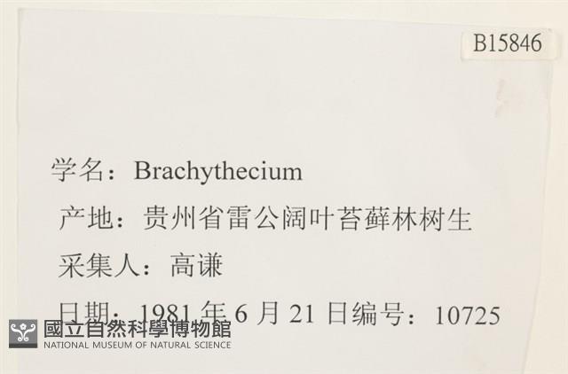 登錄號:B00015846藏品圖，第2張