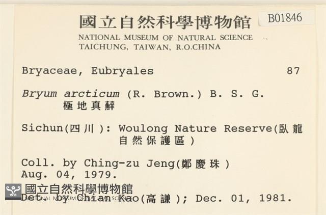 極地真蘚藏品圖，第2張