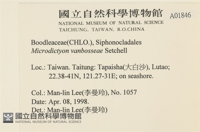 登錄號:A00001846藏品圖，第2張