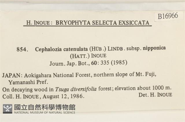 登錄號:B00016966藏品圖，第2張