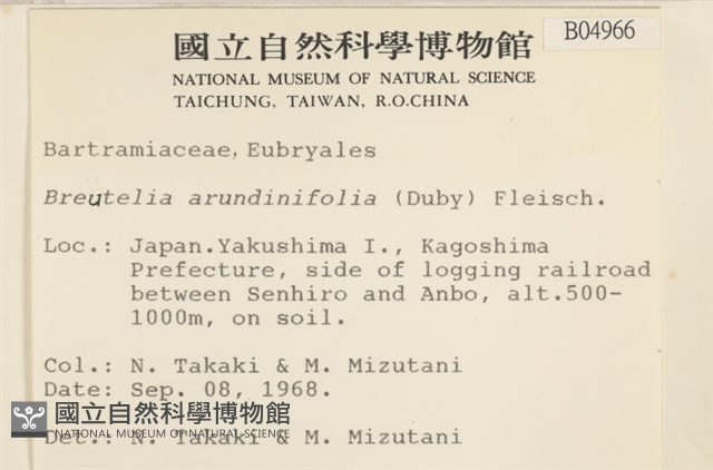 大熱澤蘚藏品圖，第2張