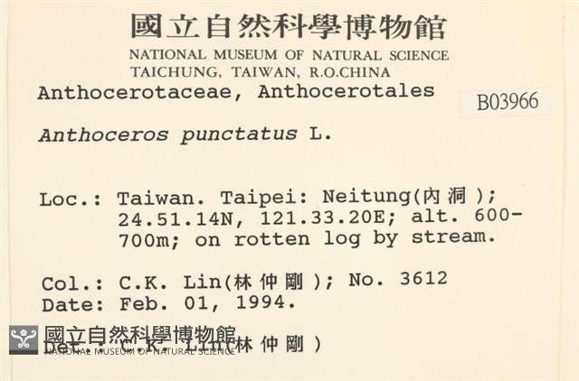 登錄號:B00003966藏品圖，第2張