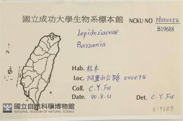 登錄號:B00019866藏品圖，第2張