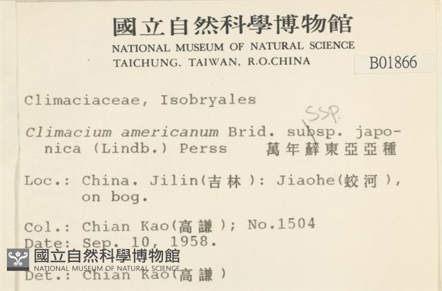 萬年蘚東亞亞種藏品圖，第2張