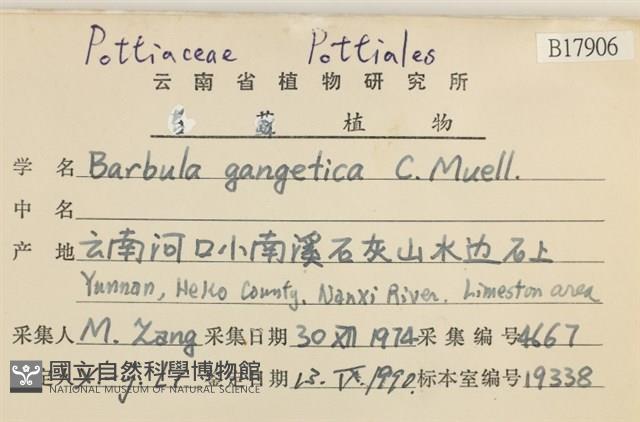 登錄號:B00017906藏品圖，第2張