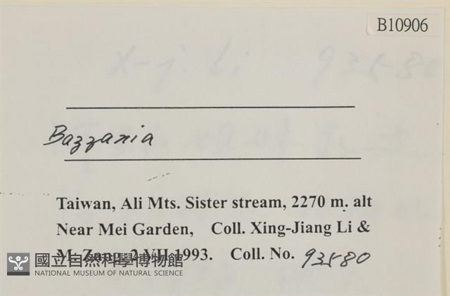 登錄號:B00010906藏品圖，第2張