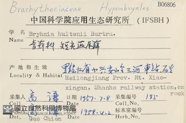 短尖燕尾蘚藏品圖，第2張