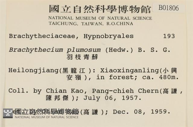 羽枝青蘚藏品圖，第2張