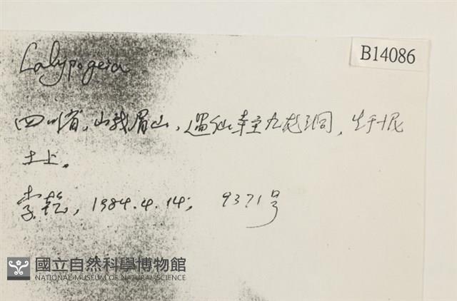 登錄號:B00014086藏品圖，第2張