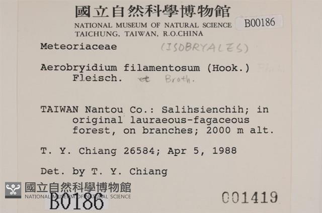 毛扭蘚藏品圖，第2張