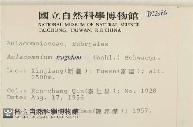 登錄號:B00002986藏品圖，第2張