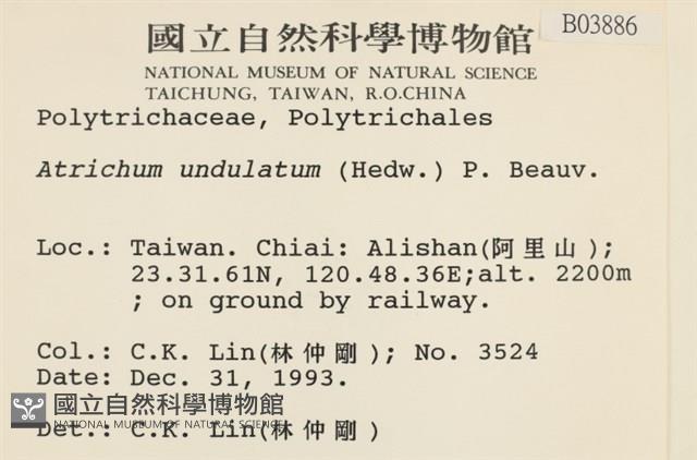 仙鶴蘚藏品圖，第2張