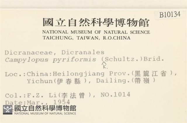 梨蒴曲柄蘚藏品圖，第2張