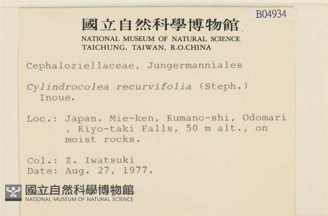 登錄號:B00004934藏品圖，第2張