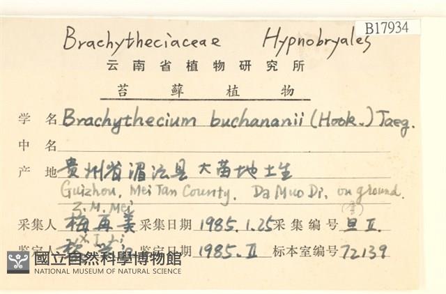 細枝青蘚藏品圖，第2張