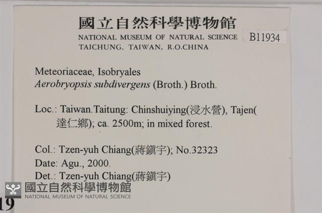 大灰氣蘚藏品圖，第2張