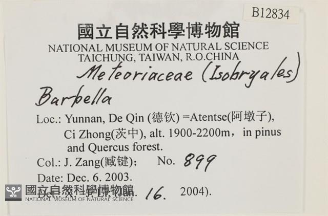 登錄號:B00012834藏品圖，第2張