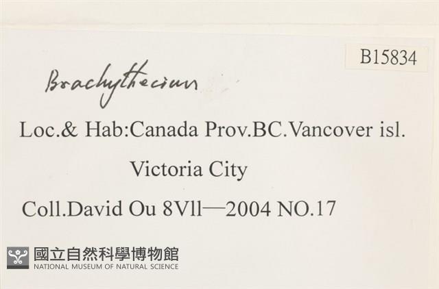 登錄號:B00015834藏品圖，第2張