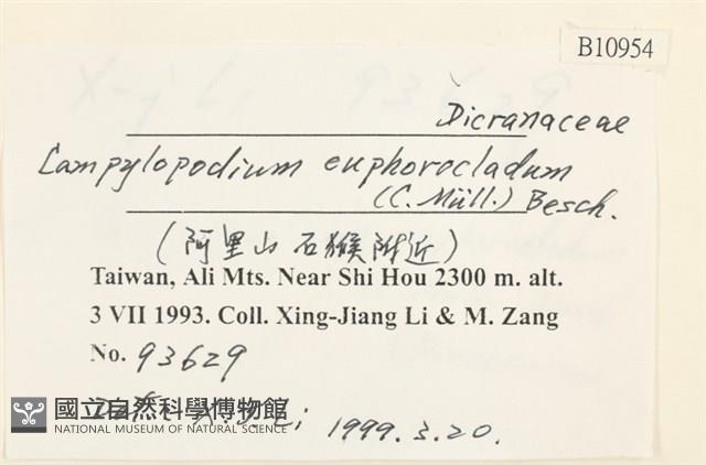 碎米蘚藏品圖，第2張