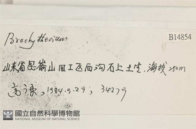 登錄號:B00014854藏品圖，第2張