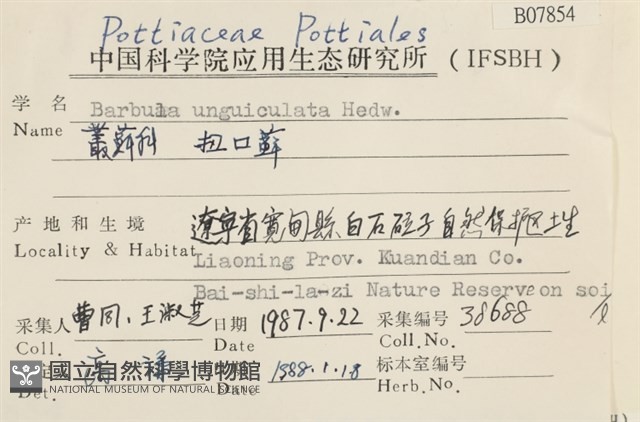 扭口蘚藏品圖，第2張