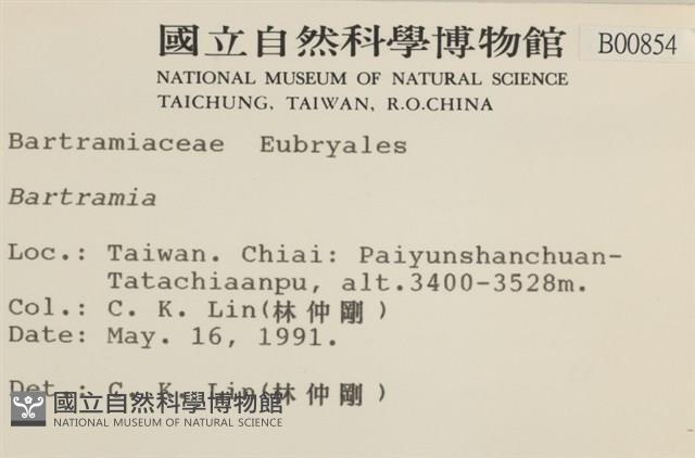 登錄號:B00000854藏品圖，第2張