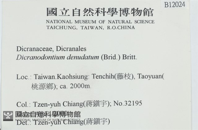 青毛苔藏品圖，第2張