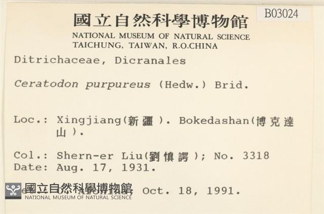 角齒蘚藏品圖，第2張