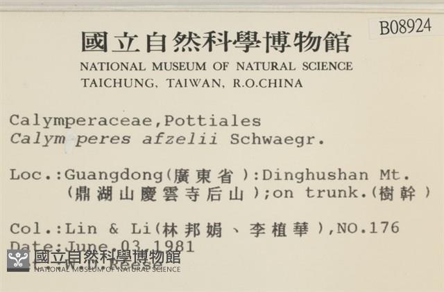 登錄號:B00008924藏品圖，第2張