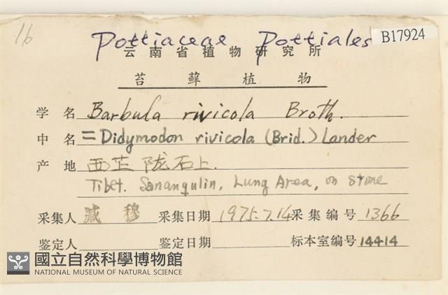 溪邊扭口蘚藏品圖，第2張