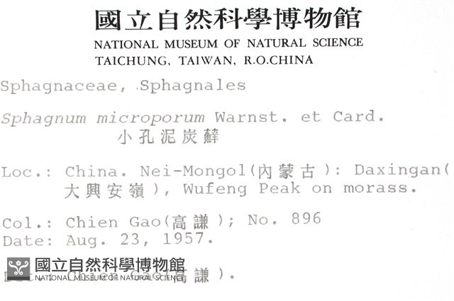 小孔泥炭蘚藏品圖，第2張