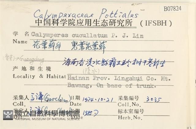 兜葉花葉蘚藏品圖，第2張