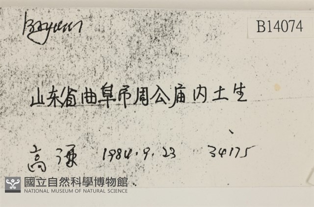 登錄號:B00014074藏品圖，第2張