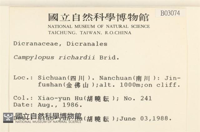 節莖曲柄蘚藏品圖，第2張