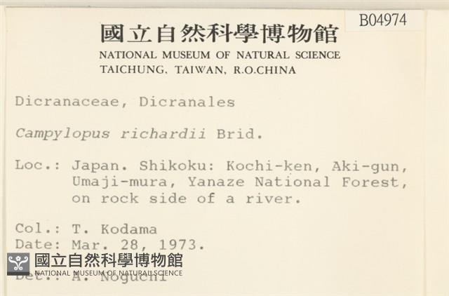 節莖曲柄蘚藏品圖，第2張