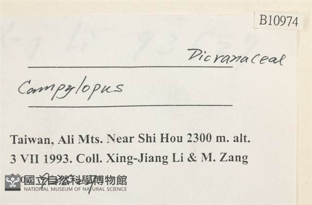 登錄號:B00010974藏品圖，第2張