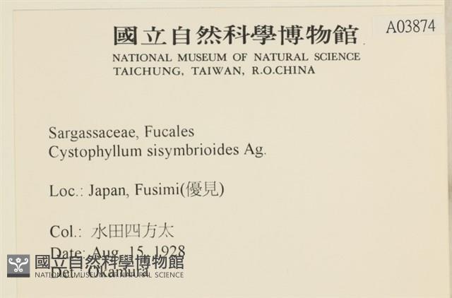 登錄號:A00003874藏品圖，第2張