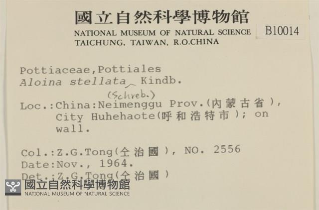 鈍葉蘆薈蘚藏品圖，第2張