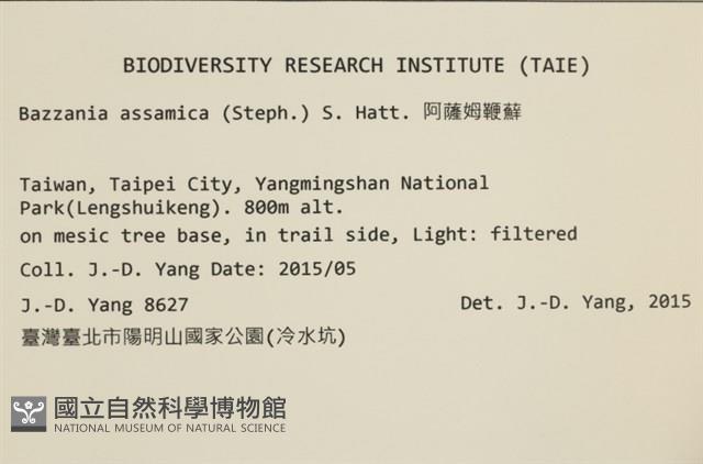 館號:B00021114藏品圖，第2張