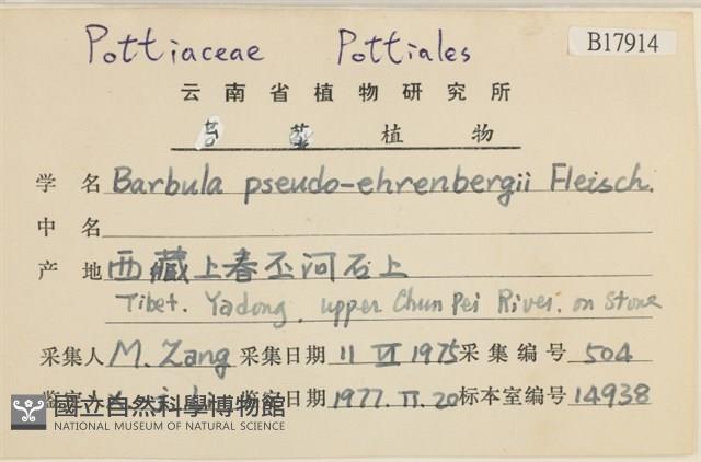 登錄號:B00017914藏品圖，第2張
