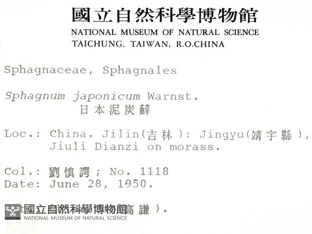 日本泥炭蘚藏品圖，第2張