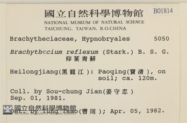 仰葉青蘚藏品圖，第2張