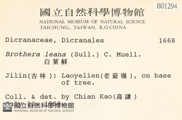 登錄號:B00001294藏品圖，第2張