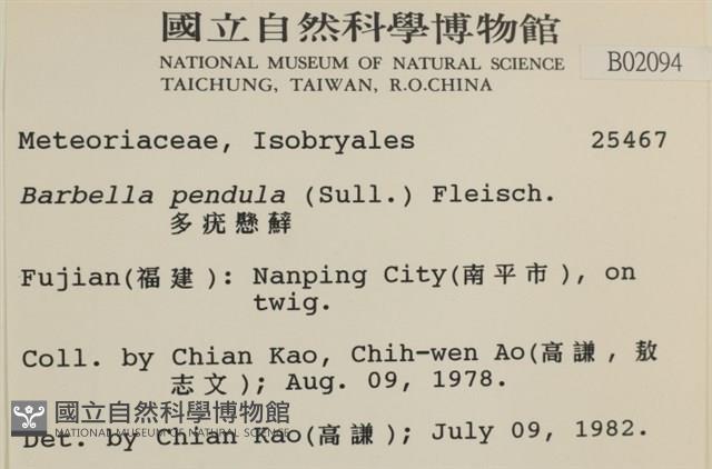 多疣懸蘚藏品圖，第2張